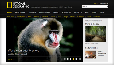 电话测压在线平台